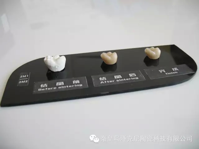 澤克尼ZEKENI-2016年第二十一屆華南國際口腔展覽會
